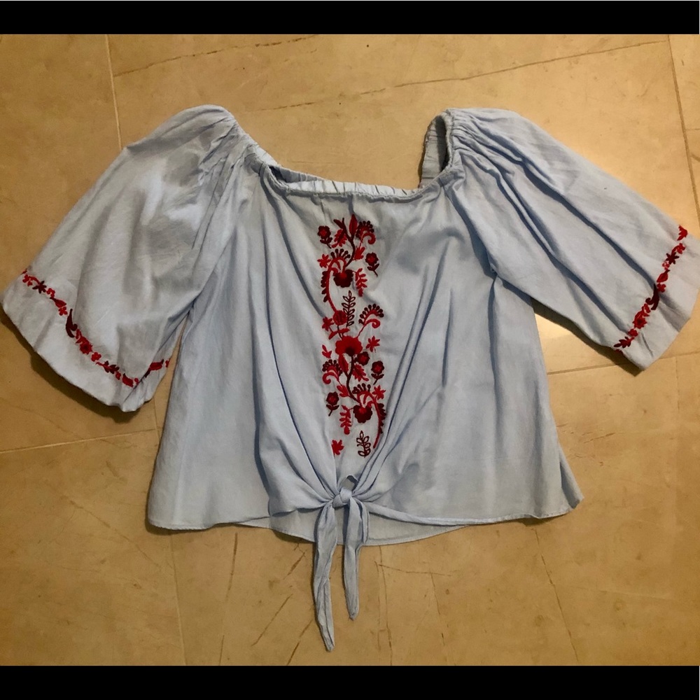 Awesome Baby Blue Top with Gorgeous  Embroidery